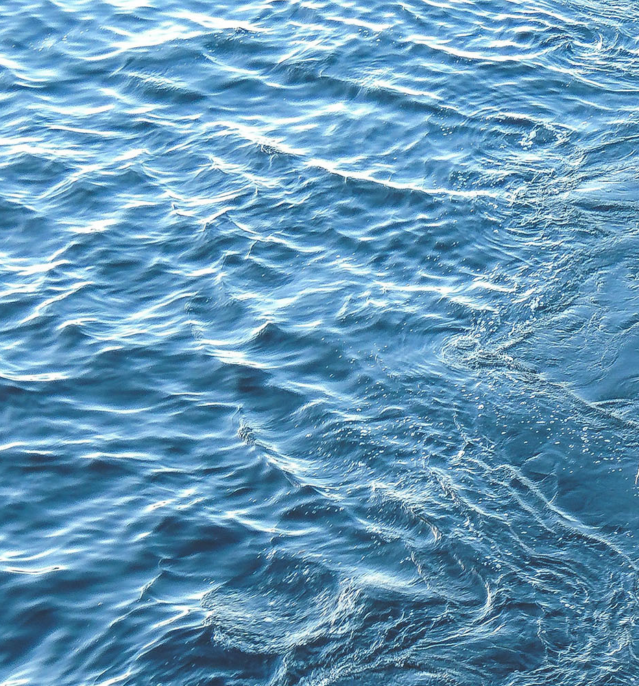 the surface of water