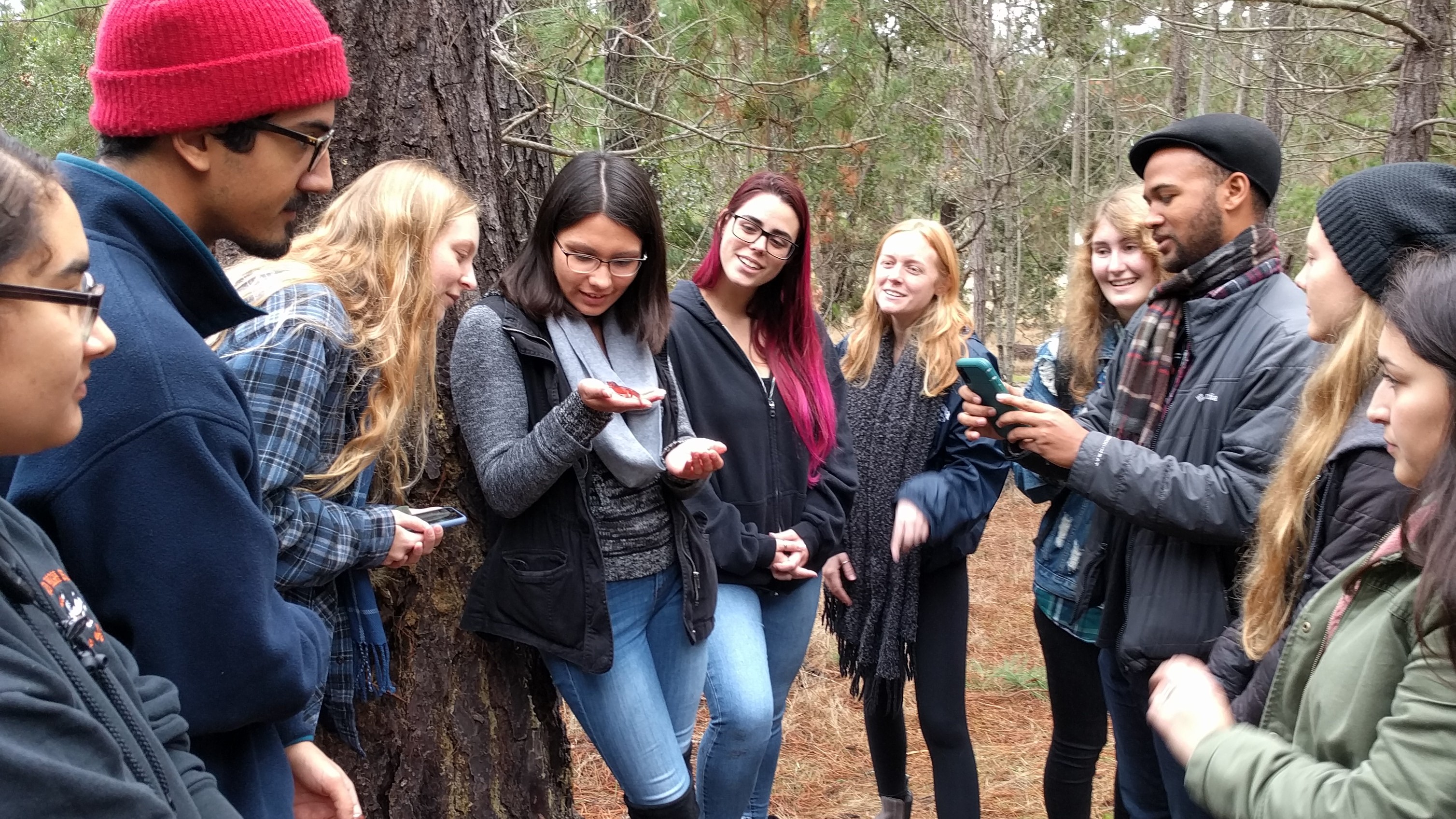 Students enjoying wildlife